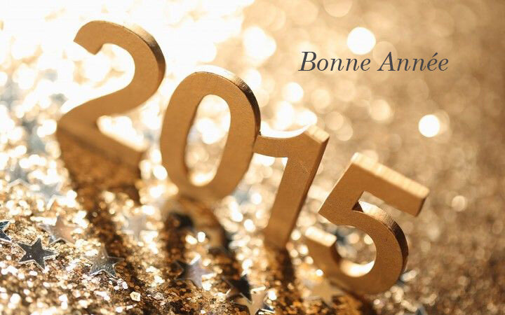 bonne_ann_e_2015