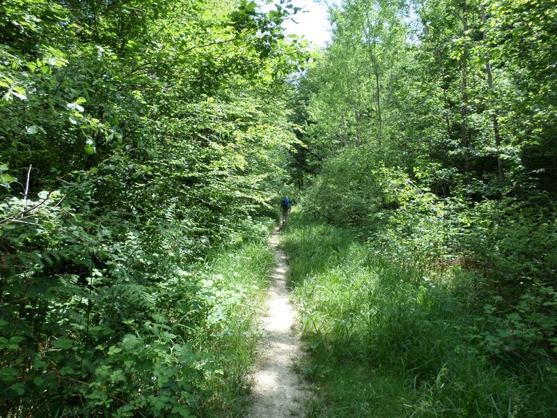 20140630 JURA ALAIN 024 - Copie