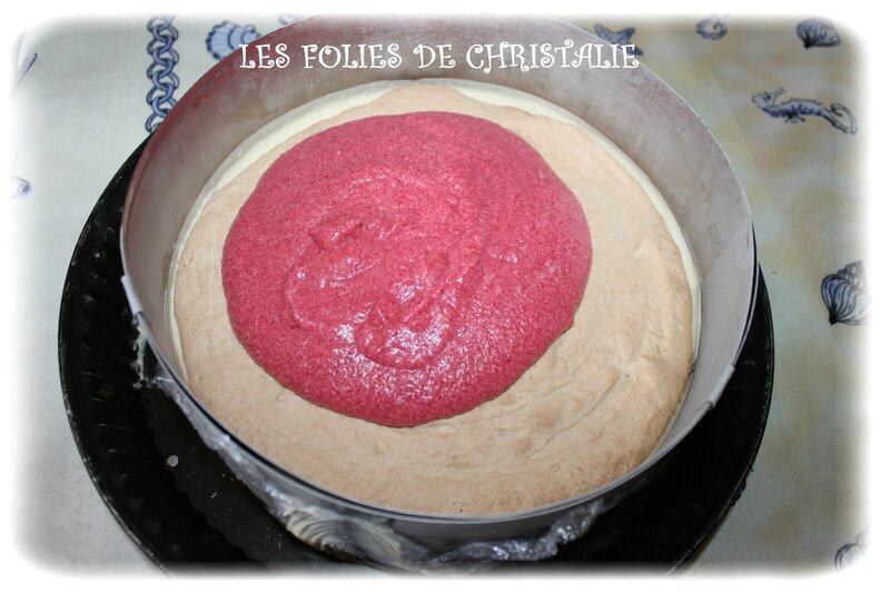 Bavarois choc framboises 22