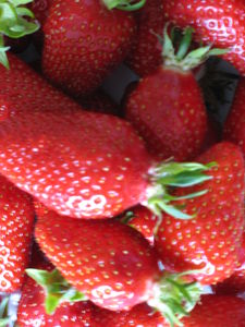 fraises_005