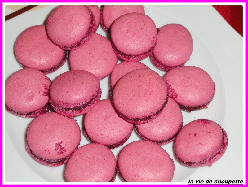 macarons mûres-chocolat blanc-1875