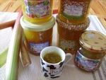 confiture_rhubarbe