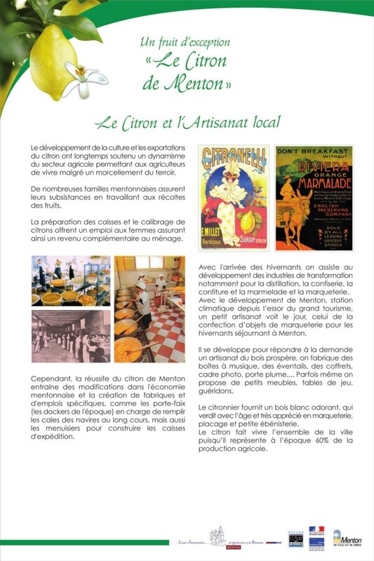 histoire citron de menton9