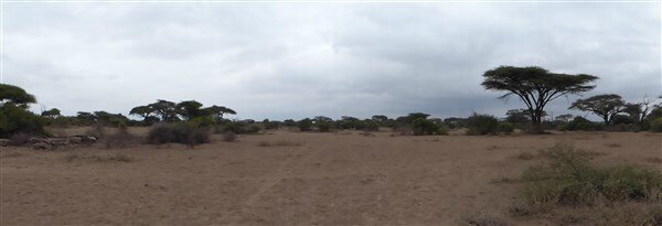 P1130481