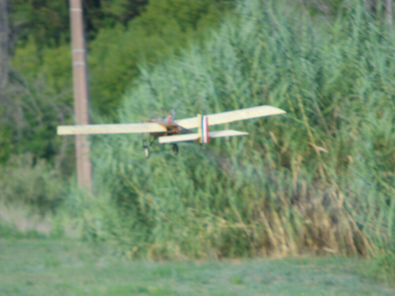 IMGP9811