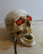 16-crane-humain-moule