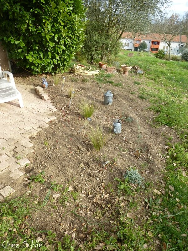 Massif terrasse ouest02