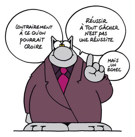 le chat