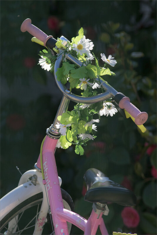 Vélo fleuri matin 150420