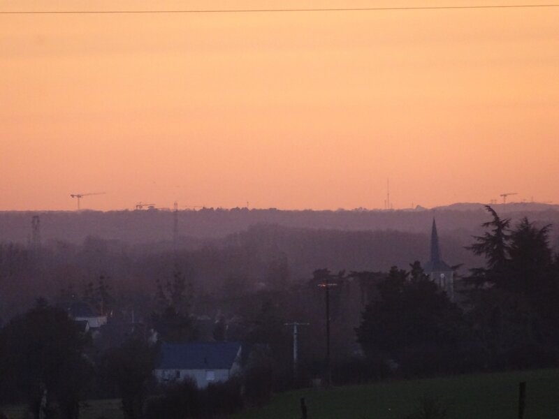 Vue du panorama avec église de Briollay et pin au crépuscule 14