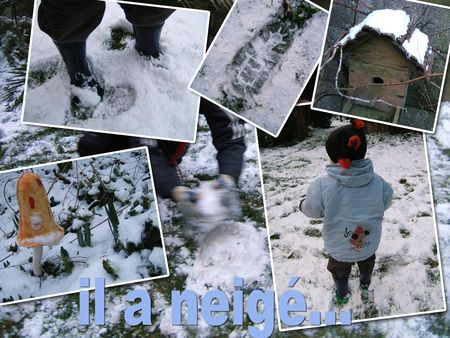 neige_copier
