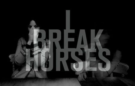 i-break-horses-600x382