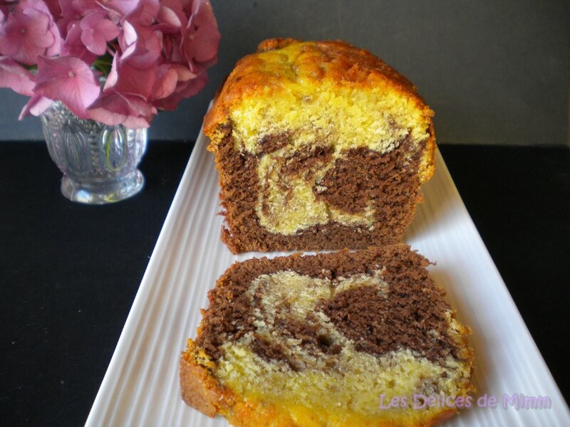 Cake marbré au chocolat façon savane 3