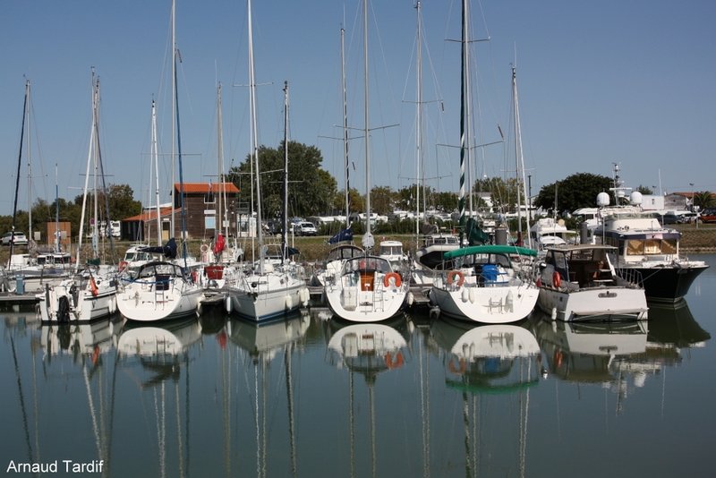 001580 Estuaire de la Gironde - Rive Droite - Le Port de Meschers-sur-Gironde