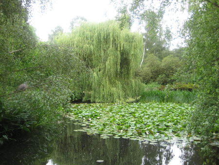 Photo_058