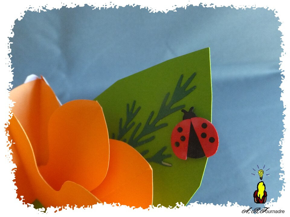 ART 2020 09 boite cadeau & fleur orange 3