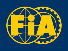 fia flag