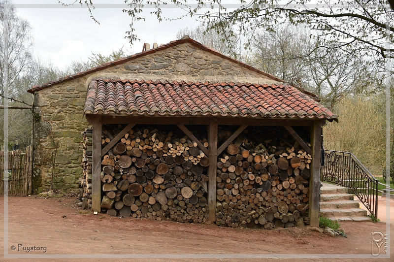 PUY_5296