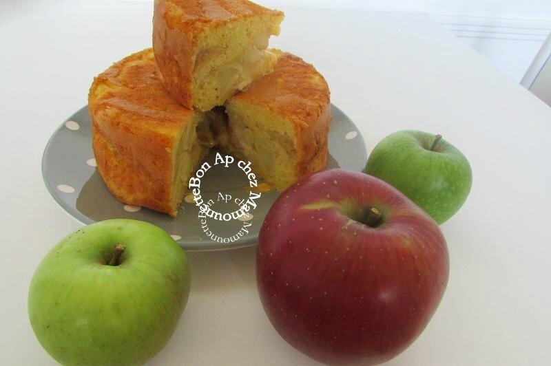 Pommes cueillette sept 2015 et gâteau aux pommes du verger 043