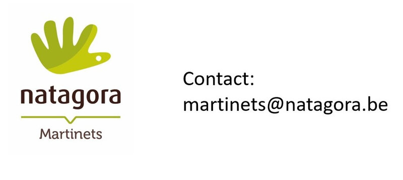 Contact