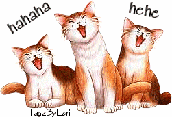 Cat-s-laugh-keep-smiling-8248717-251-171