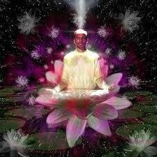 lotus-meditation