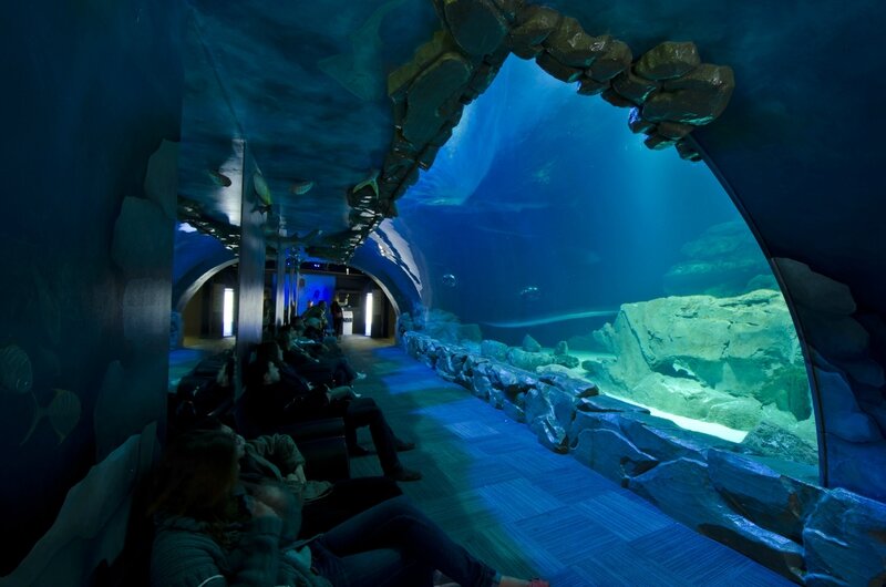 Tunnel des requins ©Cineaqua