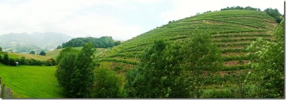Irouleguy_pano1