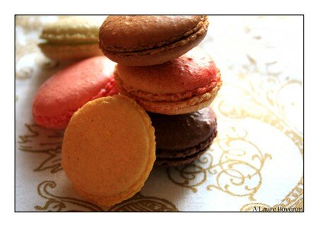 macarons_01_copie