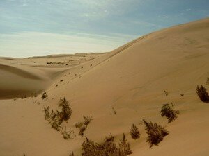 Desert_de_Gobi