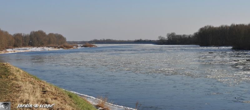 Loire charriant de la glace à Combleux (12 Février 2012)