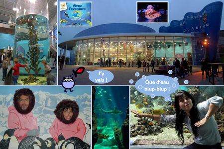 Blog_aquarium_1