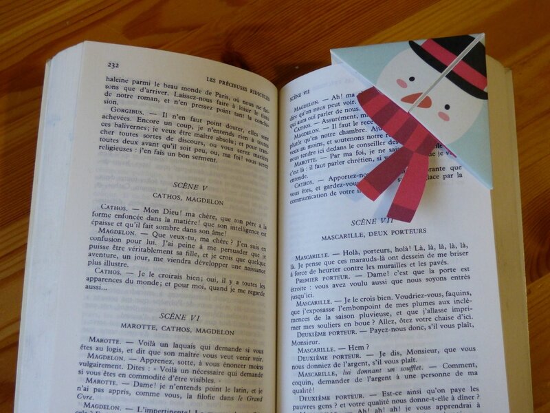P1100271