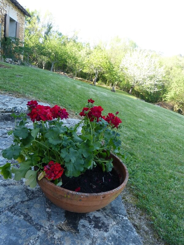 P1230072