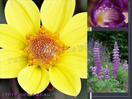 l__ete_sera_beauwtmk