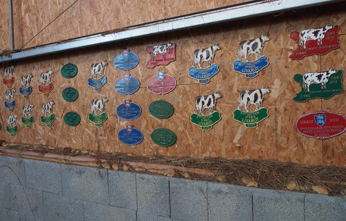 04 plaques1
