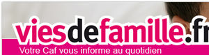 logo_vdf