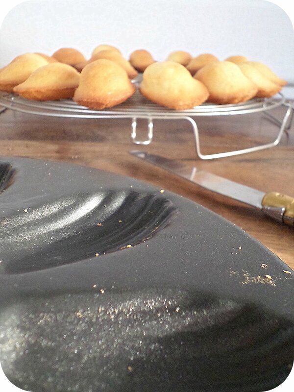 Madeleines 3