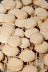 Macarons-Dulce-de-Leche-9