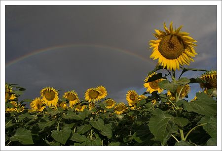 Soleils_arc_en_ciel_ciel_bleu_230710