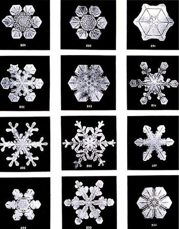 469px-SnowflakesWilsonBentley