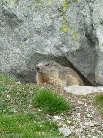 Randonnée au lac des grenouilles (44)