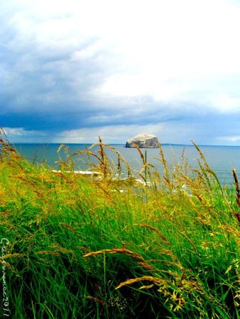 bass rock