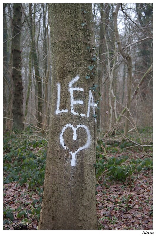 le bûcheron est amoureux...