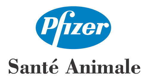 Pfizer_sant__animale