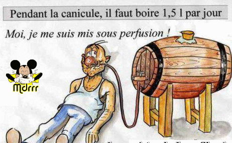 Capture d'écran 2023-08-21 150425