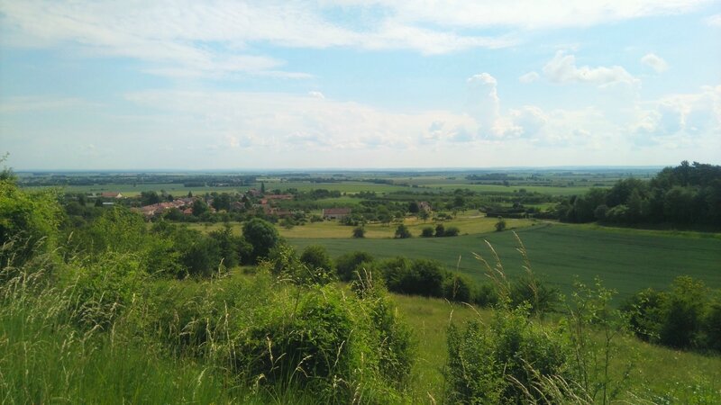 DSC_3708 - Copie