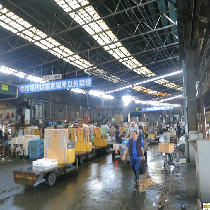Tsukiji Market Tokyo (4)