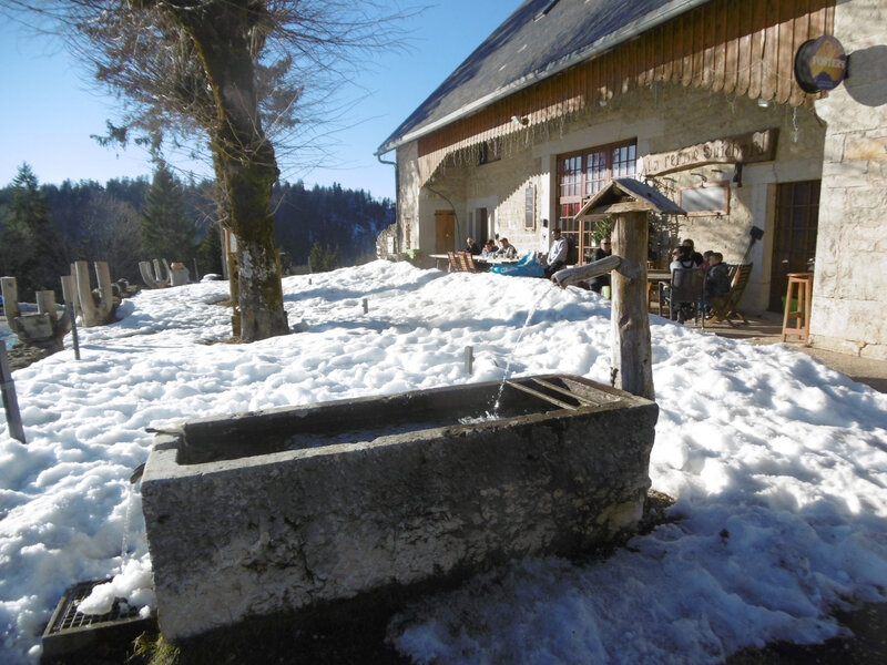 Ferme Guichard 17 fevrier 2019