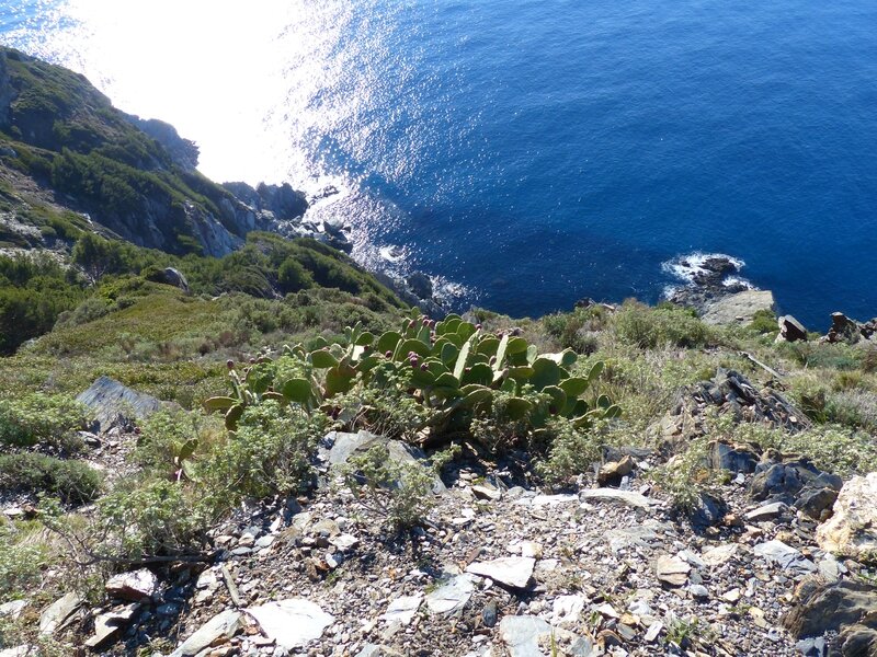 P1180940